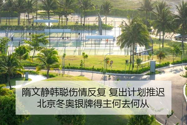 隋文静韩聪伤情反复 复出计划推迟 北京冬奥银牌得主何去何从